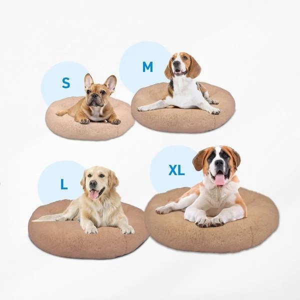 Peaceful Pooch dog bed from Mediashop